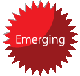 Emerging Sponsor